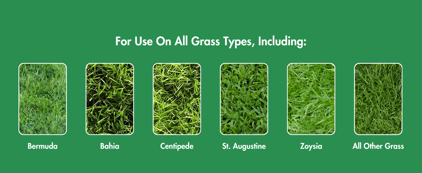 Zabitat Lawn Thrive Ready-to-Spray Liquid Lawn Fertilizer