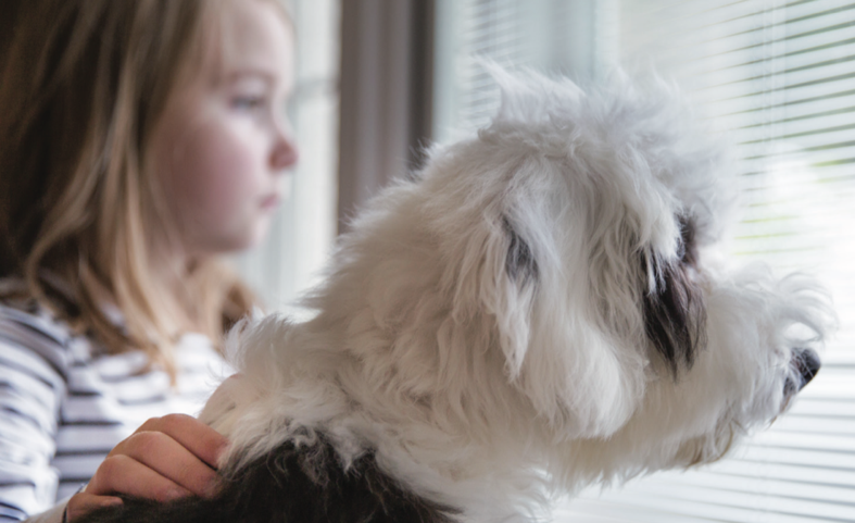 Standard vs. Custom: Blink® Blinds + Glass