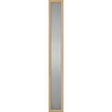 ODL Ditto Door Glass - 9" x 66" Frame Kit