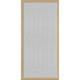 ODL Perspectives Low-E Door Glass - Textured Streamed - 24" x 50" Frame Kit