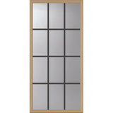 ODL Clear Door Glass - 12 Light - 5/8 Internal Grille - 24" x 50" Frame Kit