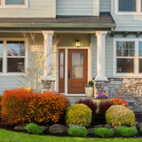 ODL Vilano Door Glass - 10" x 38" Frame Kit